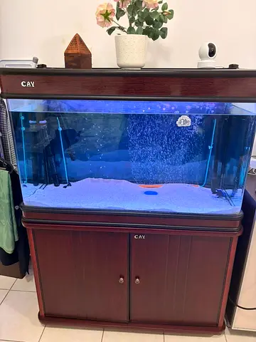 Large CAY Wooden Aquarium with Cabinet