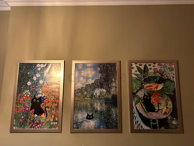 Cat Framed Pictures