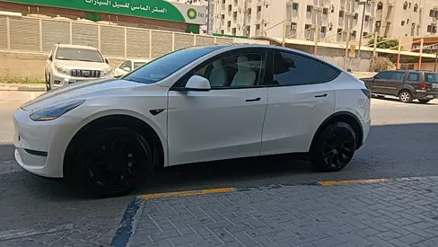 Tesla Model Y Long Range, миниатюра 4