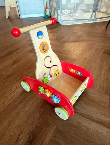 Hape Wonder Walker