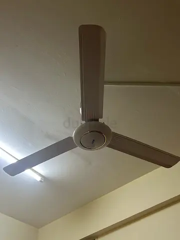 Modi fan for sale