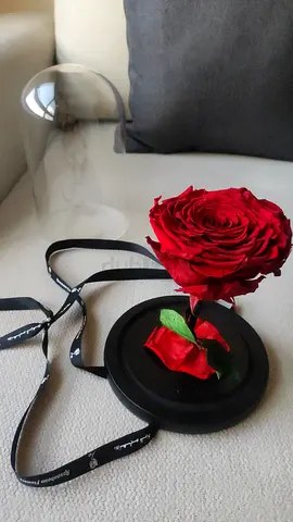 Forever Rose In Glass Dome