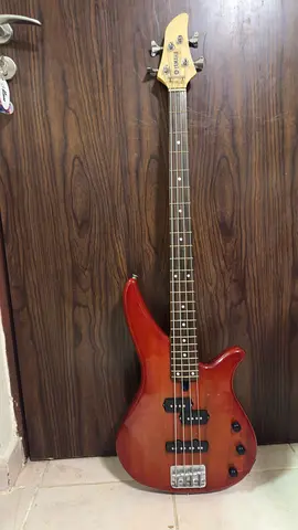 Bass guitar RBX170