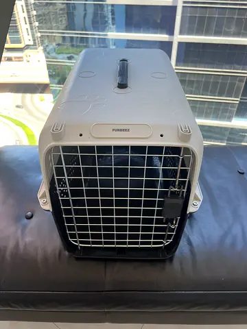 Furbeez Pet Carrier (Small)