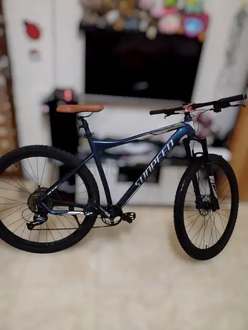 SUNPEED RULE 29er wheel LARGE frame
