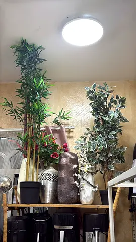 Assorted Artificial Plants and Decorative Vases - Set of