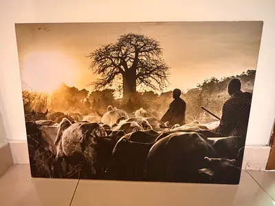 Frameless photography print of African landscape and wildlife