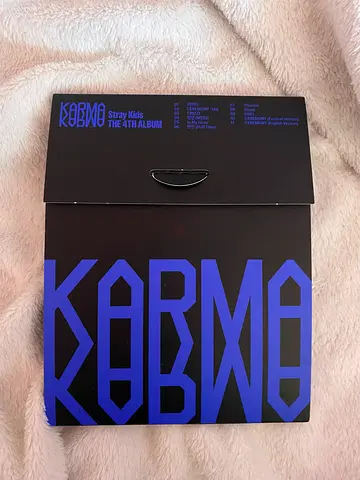 Stray Kids album + Freebies