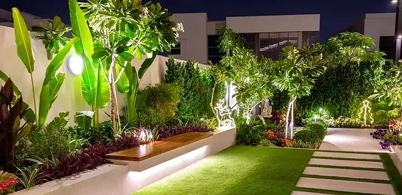 Professional Landscaping and Villas Maintenance Services