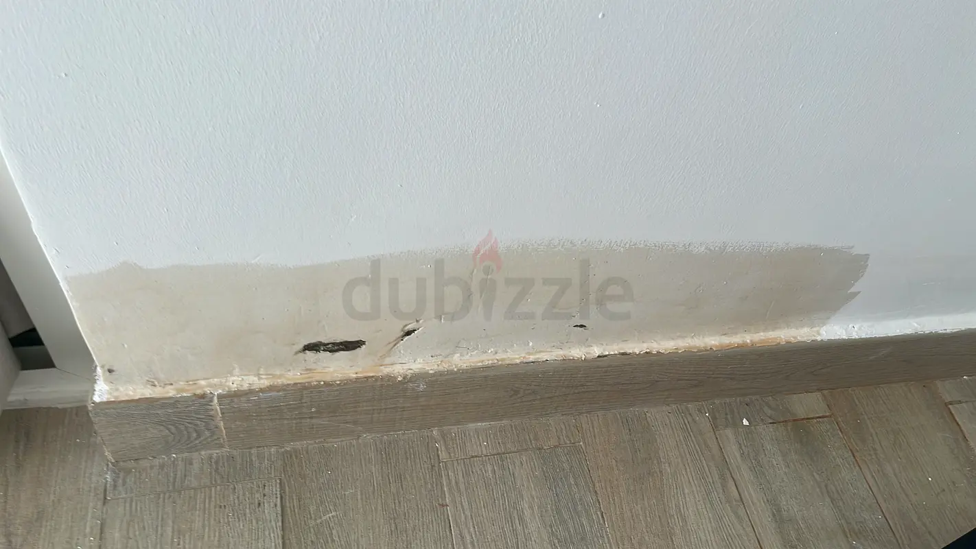 DPV_View_Image_1