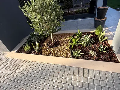 Landscaping materials and designs with plants