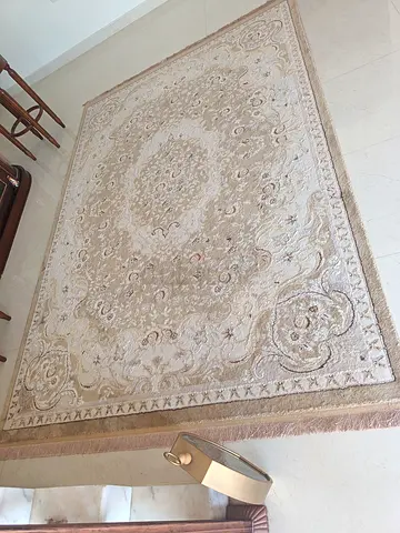 Light beige ornate Persian-style area rug in good condition