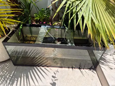 glass aquarium tank for indoor or outdoor with 2 pumps