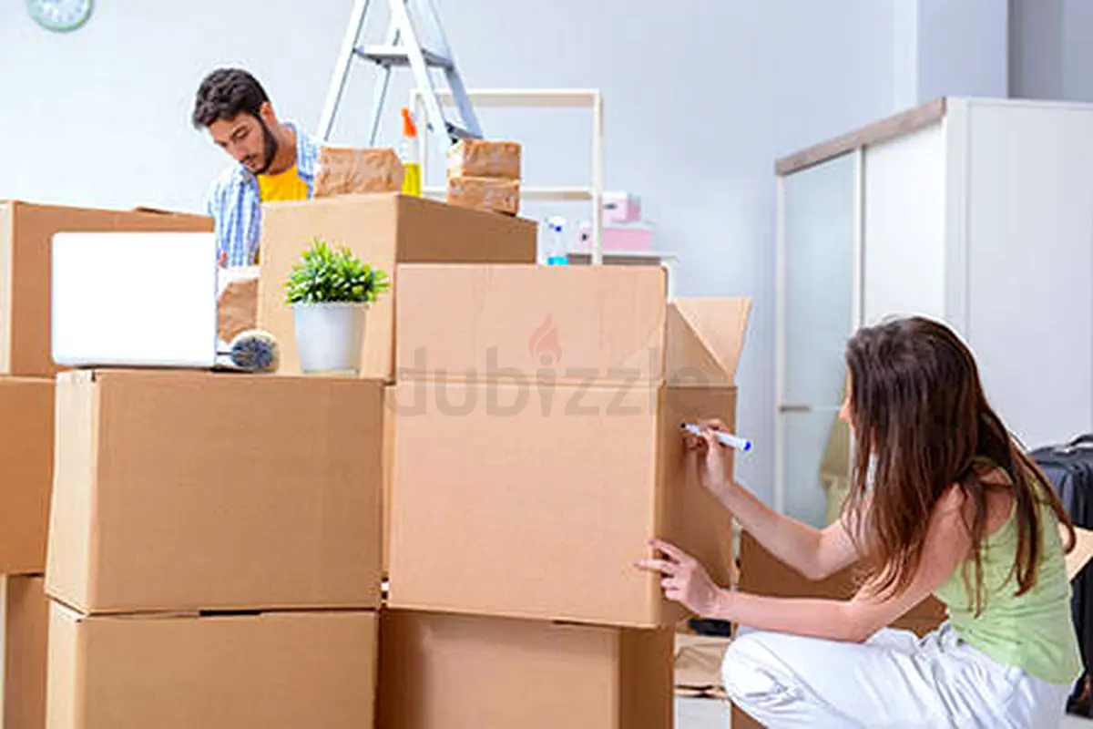 DPV_View_Image_2