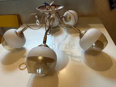 Homecenter Ceiling Lamp/Chandelier