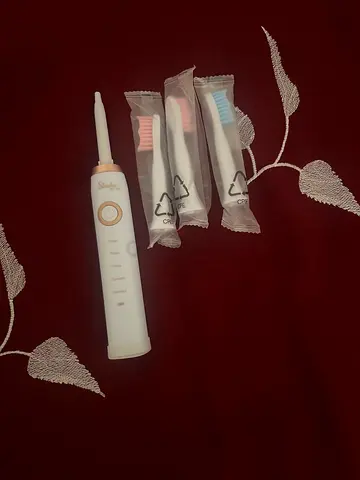 Electric toothbrush