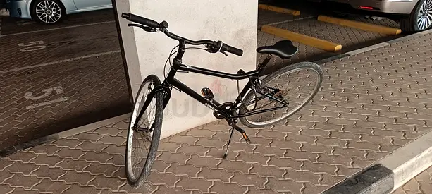 Riverside bicycle