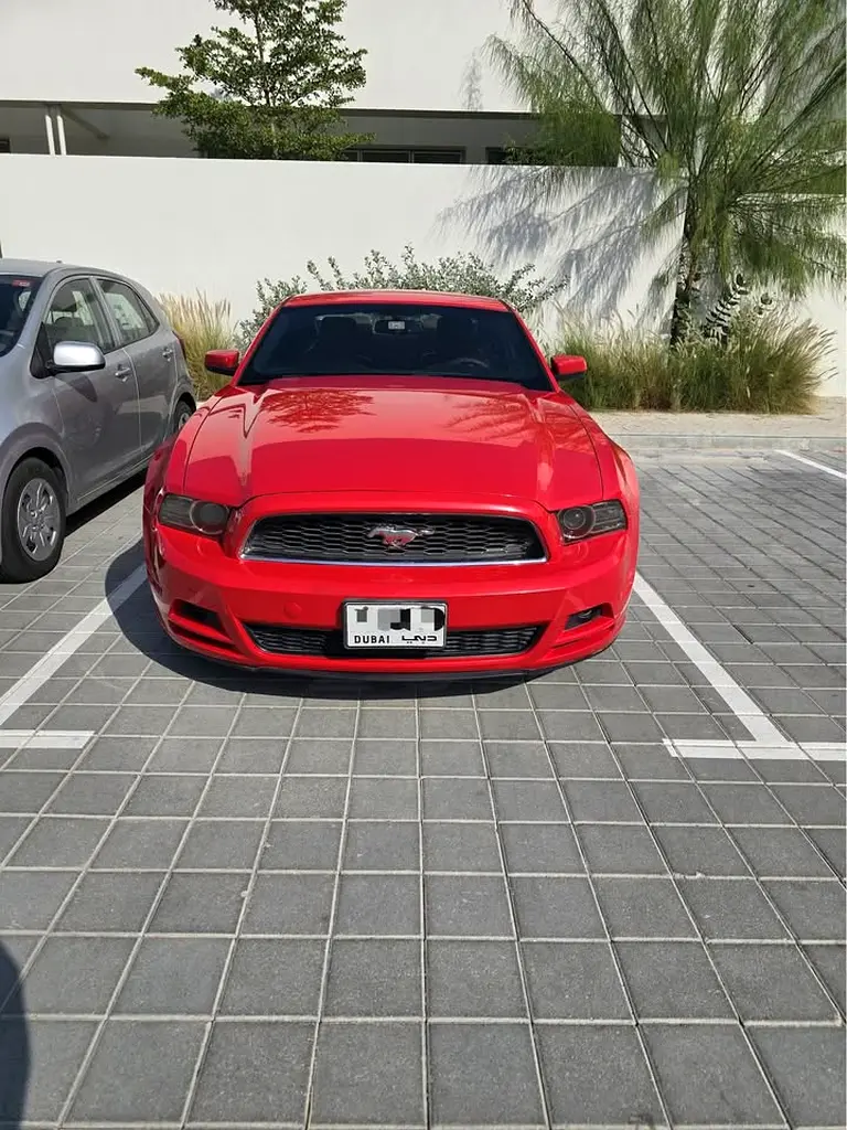 Ford Mustang 2014 — photo 1 of 10