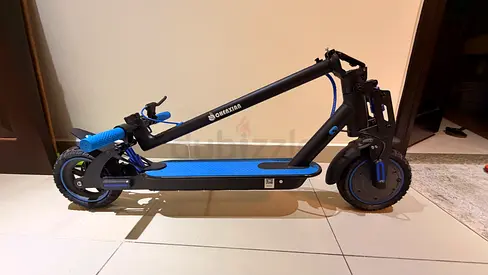 Electric scooter