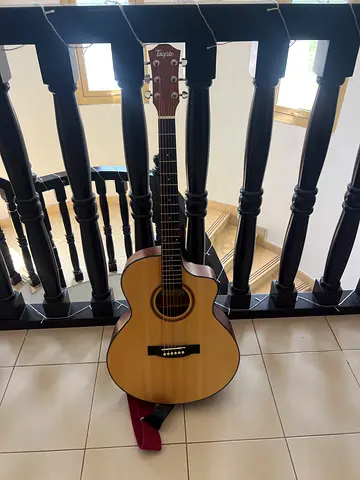 Acoustic guitar