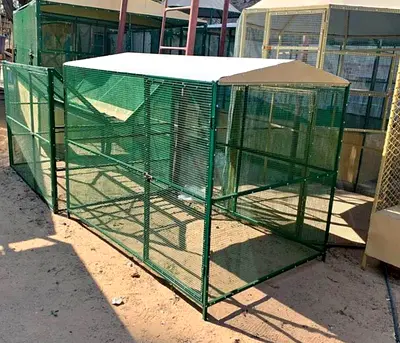 Large outdoor metal bird aviary /cage - sturdy, green