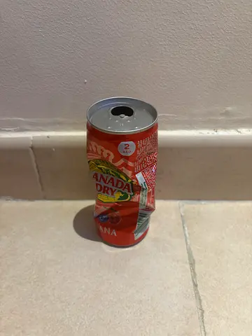 Canada Dry kicked 1000 times and an art decoration
