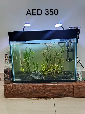 Complete Aquarium Setup with Lights and Filter