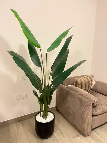 Artificial plants