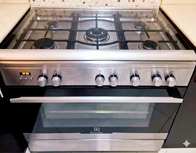 Electrolux Stainless Steel Gas Range with Oven – Good Condition