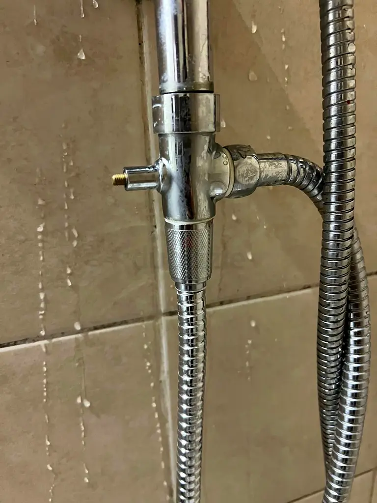 DPV_View_Image_2
