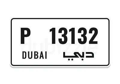 P 13132