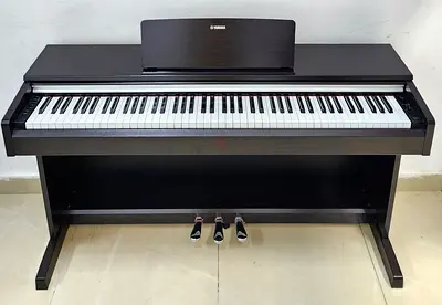 The Yamaha Arius YDP-142 is a popular 88-key digital console piano. It features the Graded Hammer