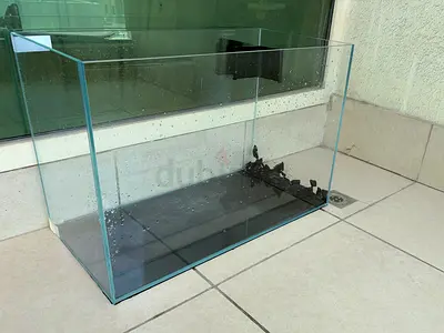 60 cm aquarium