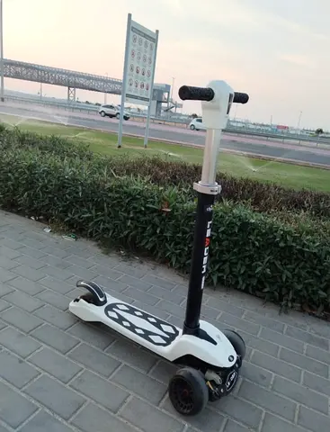 Skate scooty
