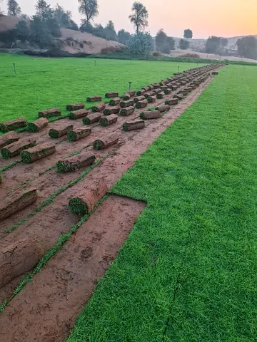 Landscaping