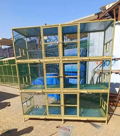 Large Multi-Compartment Outdoor Bird Aviary Cage - 6 Section