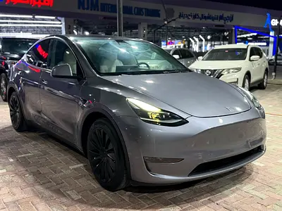 2023 Tesla MODEL Y — фото 4