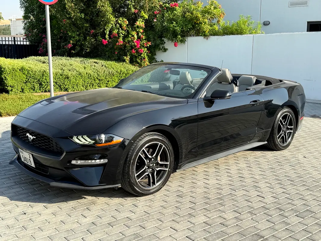 Ford Mustang 2020 — photo 1 of 5