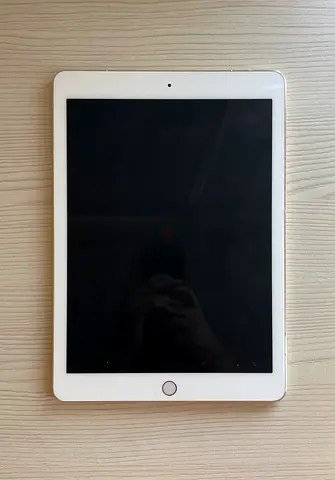 Apple iPad Pro 9.7 inch (Rose Gold) - Good Working Condition with case