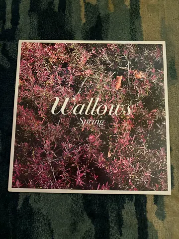 Spring - Wallows (Vinyl LP)