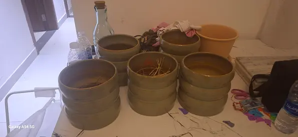 Set of 5 ceramic plant pots — used, good condition