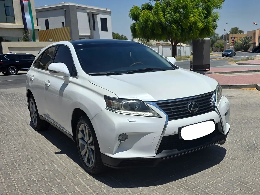 Lexus RX-Series 2013 — photo 1 of 20