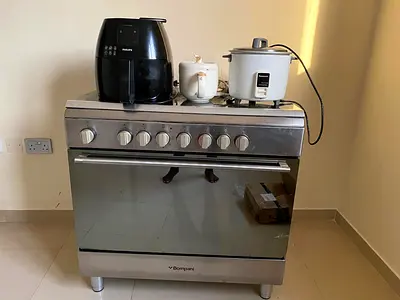 Electronic and gas oven
