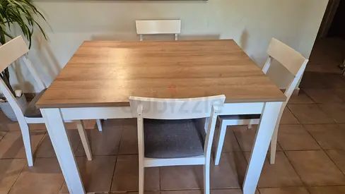 Modern 4-Seater Dining Set with Wood Finish Table Top