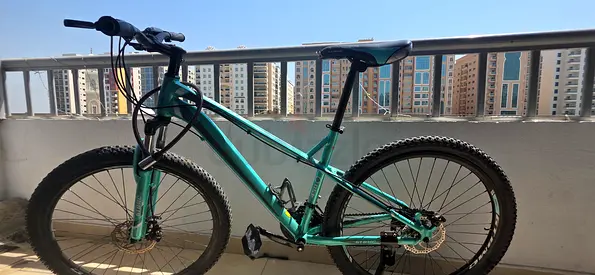 Medium-sized mint green mountain bike, good condition