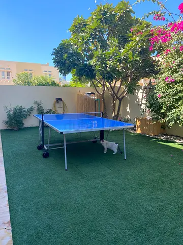 Used Foldable Table Tennis / Ping Pong Table - Excellent Condition