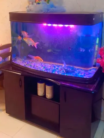 Aquarium