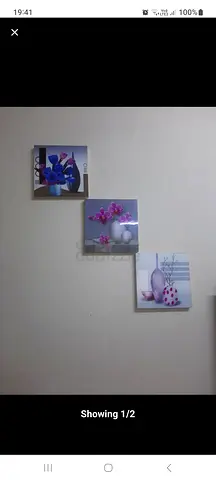 Set of 3 Floral Wall Canvas Prints - Used, Good Condition