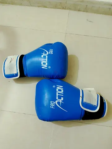 Pro Action Boxing Gloves