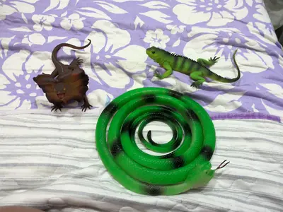 Reptile Toys for Sale